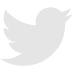 twitter icon